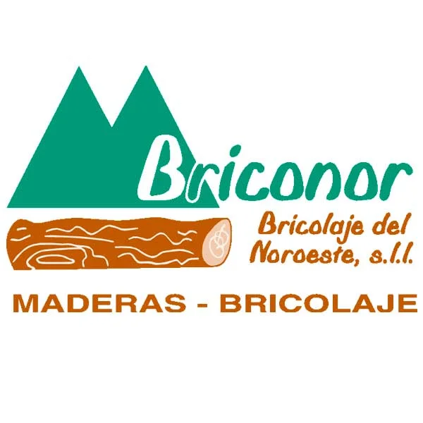 enlace a briconor