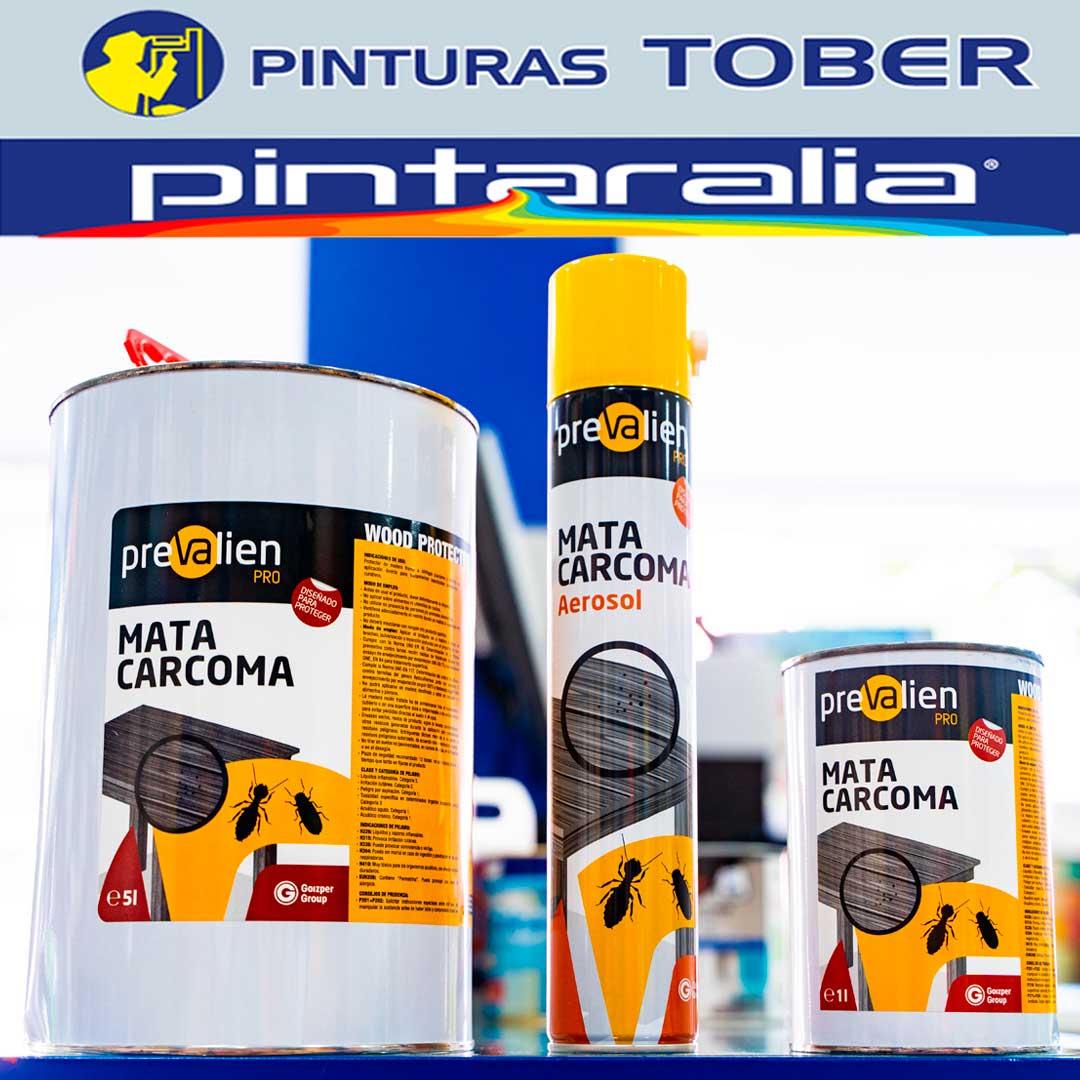 Pinturas especiales para pintar plástico - Pinturas Mata S.L.